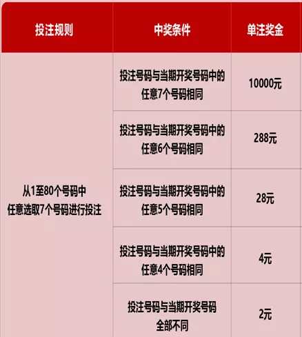 福彩3D今日开奖揭秘，开机号与中奖金额的双重期待