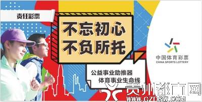 探索中国体育彩票官方唯一网，安全、公正与公益的桥梁