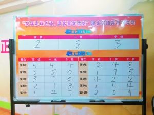 探索中国福利彩票双色球走势图，理性与幸运的交织
