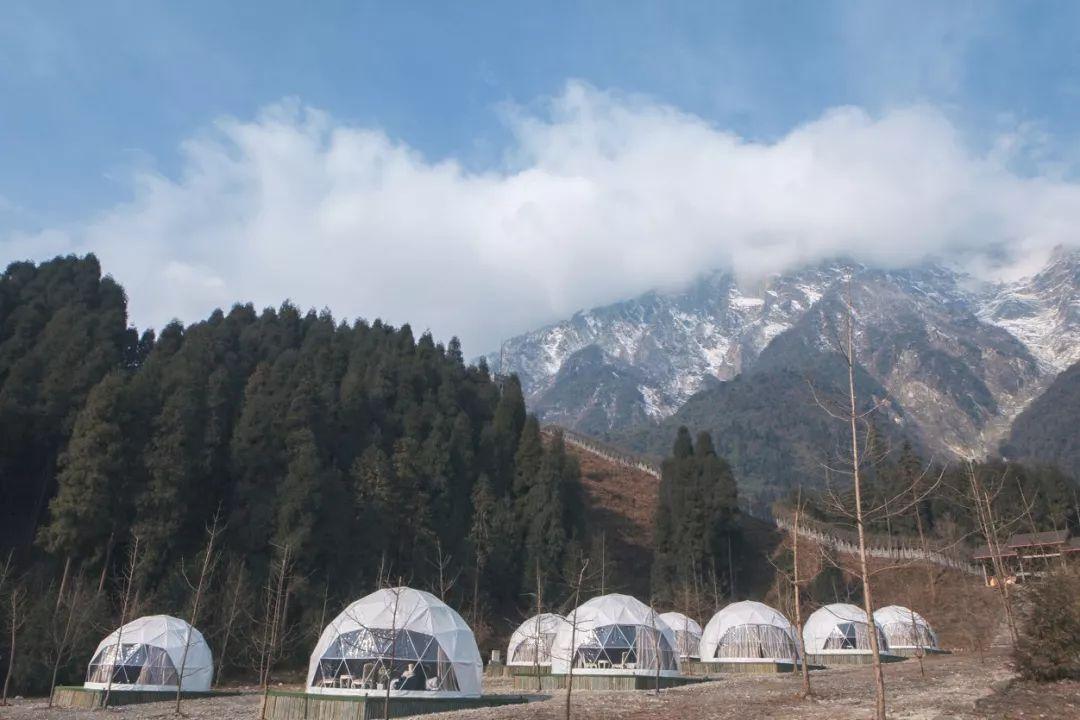 福彩开奖视频，中国福利彩票的透明之旅