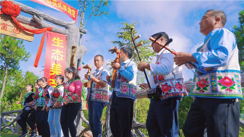 采摘网彩摘，解锁自然馈赠的奇妙之旅