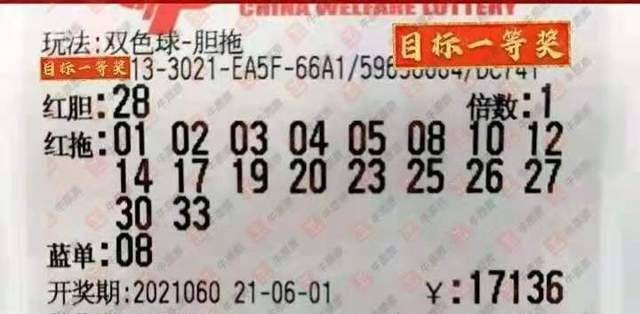探索双色球字谜最新，解锁彩票背后的智慧与乐趣