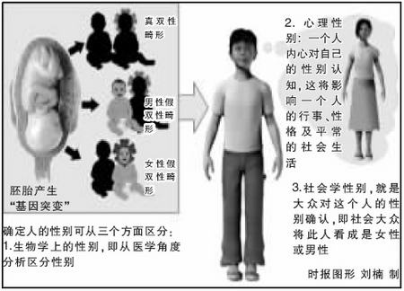 双性人生，殅器、自交与性别认知的探索—一幅未解的图片故事双性人功能及结构图片