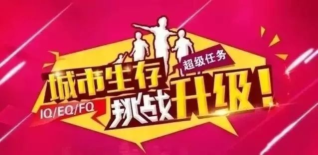 青春与机遇，在510网赚论坛的成长之旅