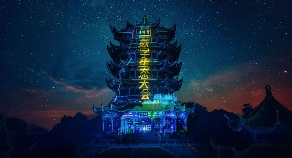 探索数字世界的奥秘，红五图库、天牛与神秘的天97654红五图库天牛图库天97654彩吧图裤