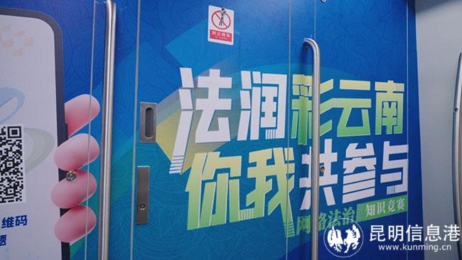 今日特马揭秘，香港彩市风云再起香港今天开的什么马