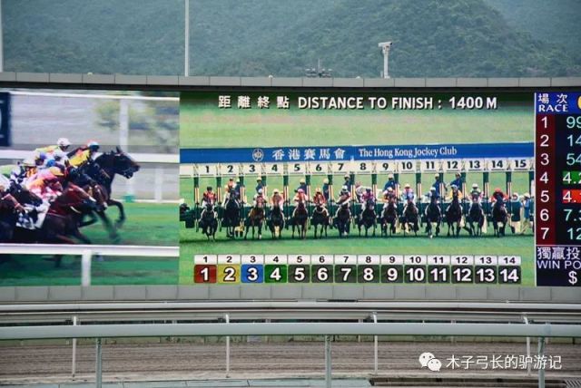 香港马资料大百科，全面解析赛马的魅力与策略香港马资料大资料大全2021年