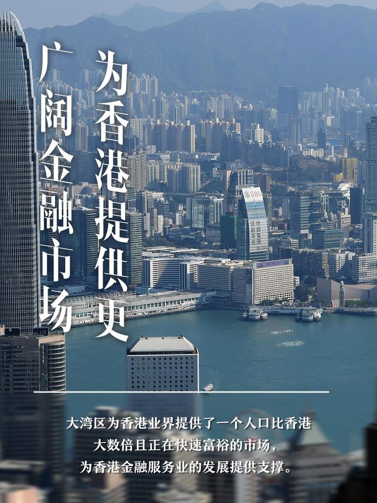 澳门2035免费资料大全，探索未来之城的秘密与机遇澳门2023免费资料大全维美