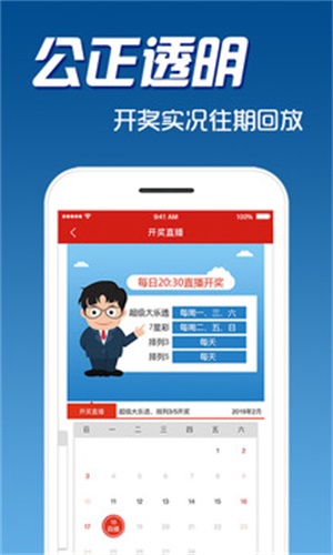 每日精选，二四六天天好彩 每期文字资料大全解析