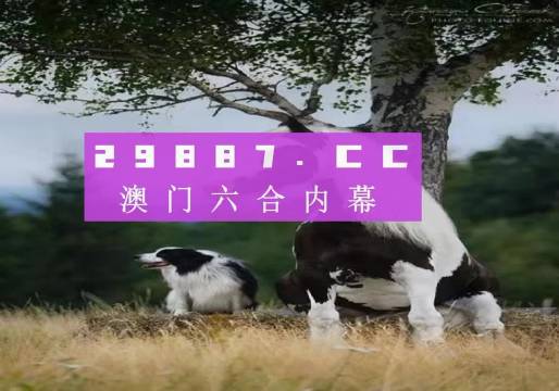 2043年香港六合彩开奖结果，揭秘最新记录与趋势香港开奖开奖结果(246)开奖开奖结果