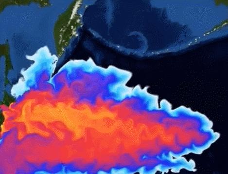 香港6合走势图新浪网最新预测—揭秘今日开奖结果香港6合走势图新浪网最新预测今天开奖结果