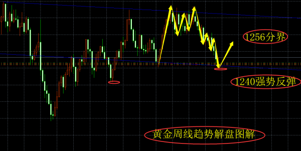 理性看待彩票，香港6合走势图表与100期开奖预测的深度剖析香港6合走势图表100期开奖预测结果查询