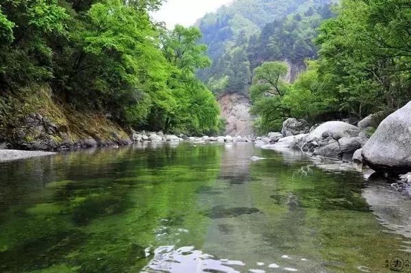 探索香港六合走势图表，103期最新版下载的深度解析香港6合走势图表100期最新版下载安装