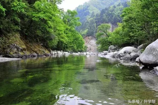 探索香港六合走势图表，最新预测与深度分析香港6合走势图表图片大全最新预测图