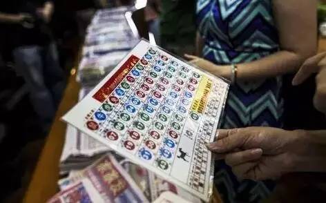 探索香港六合彩开奖记录，官方最新查询指南香港6合开奖号码