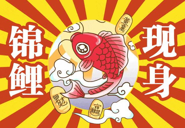 探秘香港6合开彩，今日中奖号码的奥秘与汇总图表解析香港6合开彩开奖今天开奖号码查询汇总图表最新