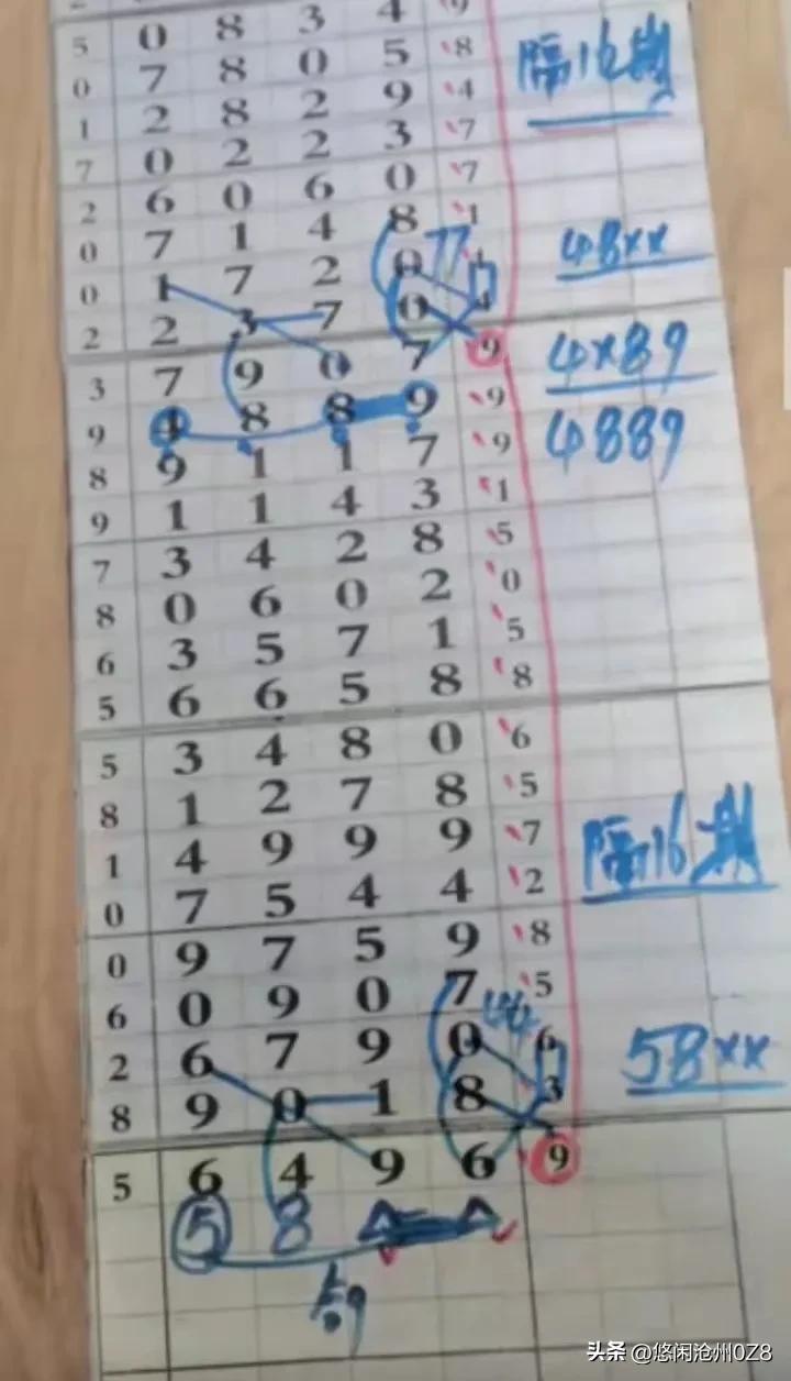 探索香港6合开彩走势，2019年回顾与未来展望香港6合开彩走势图片大全最新版2021年11月12日