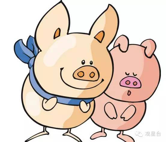 揭秘香港6合开奖结果与生肖图片汇总，一场文化与传统交融的盛宴香港6合开奖号码
