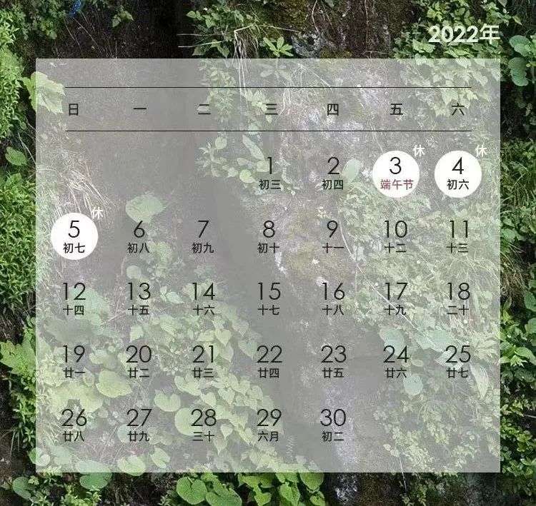 香港六月假期全解析—从儿童节到端午节，尽享多彩假日时光香港6月放假时间